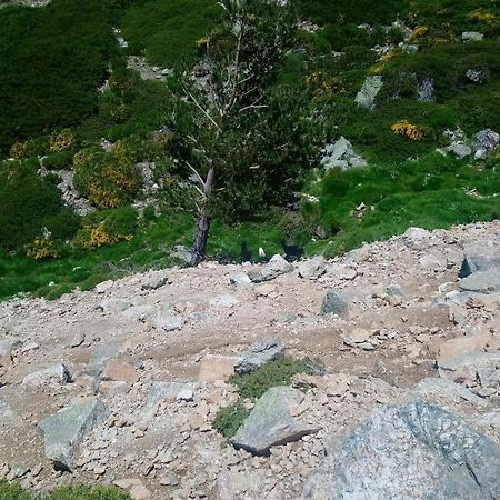 Apartamento Navacerrada Zewnętrze zdjęcie